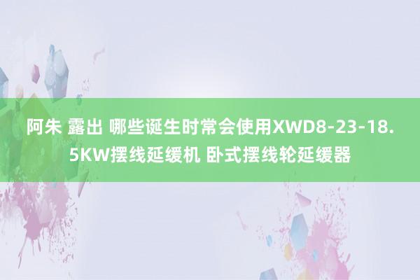 阿朱 露出 哪些诞生时常会使用XWD8-23-18.5KW摆线延缓机 卧式摆线轮延缓器