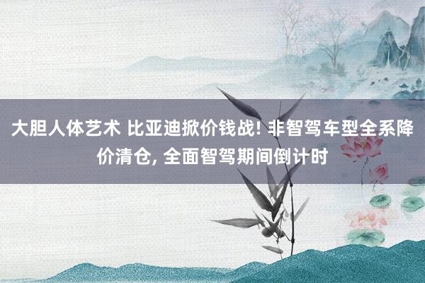 大胆人体艺术 比亚迪掀价钱战! 非智驾车型全系降价清仓， 全面智驾期间倒计时