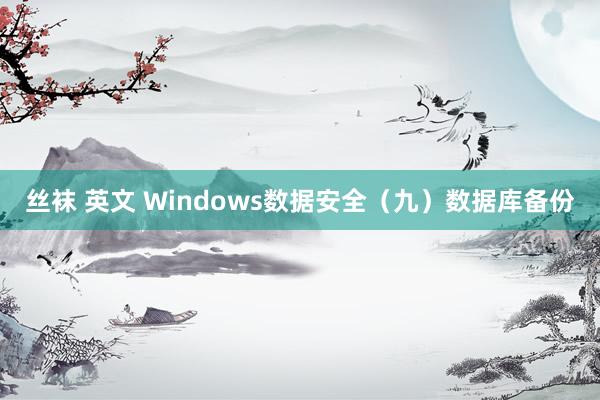 丝袜 英文 Windows数据安全（九）数据库备份