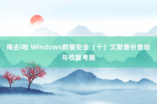 俺去l啦 Windows数据安全(十)文献备份查验与收复考据