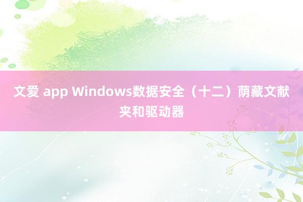 文爱 app Windows数据安全（十二）荫藏文献夹和驱动器