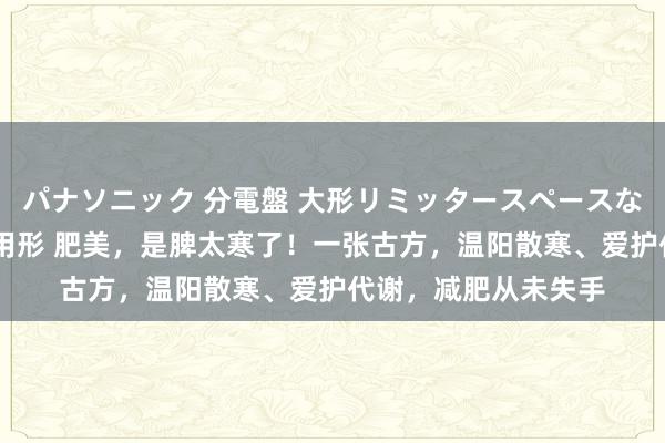 パナソニック 分電盤 大形リミッタースペースなし 露出・半埋込両用形 肥美，是脾太寒了！一张古方，温阳散寒、爱护代谢，减肥从未失手