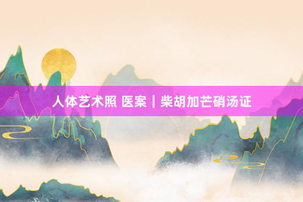 人体艺术照 医案｜柴胡加芒硝汤证