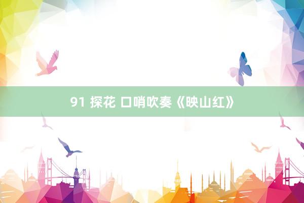 91 探花 口哨吹奏《映山红》