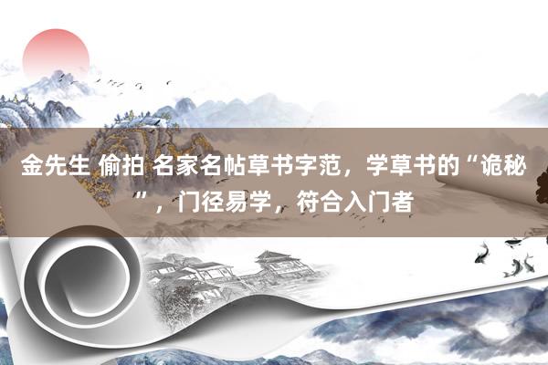 金先生 偷拍 名家名帖草书字范，学草书的“诡秘”，门径易学，符合入门者