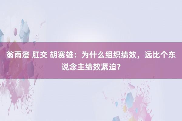 翁雨澄 肛交 胡赛雄：为什么组织绩效，远比个东说念主绩效紧迫？